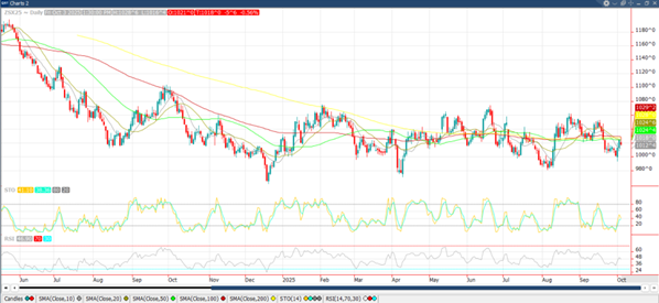 november-25-soy-oct-6