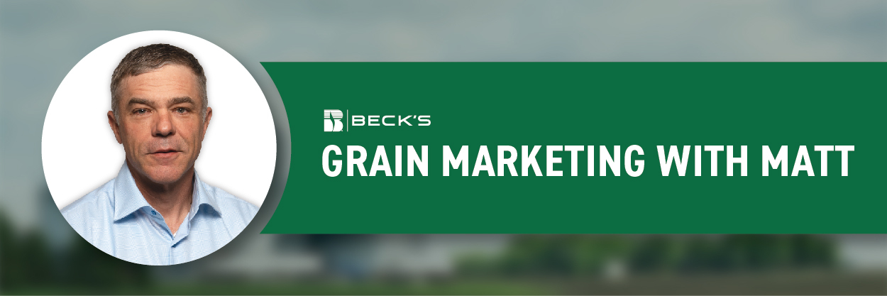 MattsMarketingUpdate_EmailHeader-150