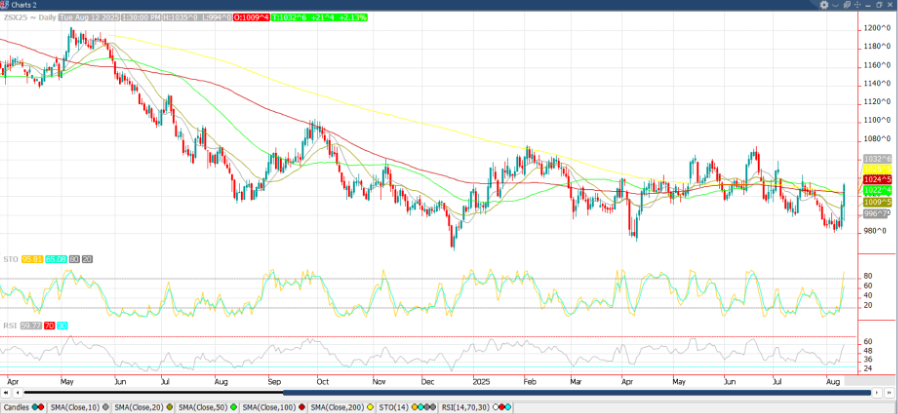 November ‘25 Soybean chart